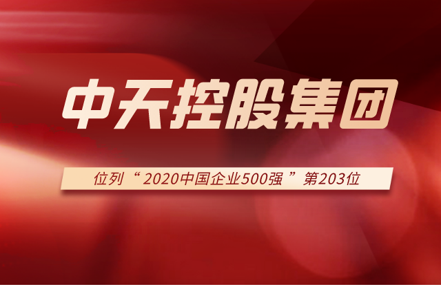 z6尊龙控股集团列2020中国企业500强第203位！